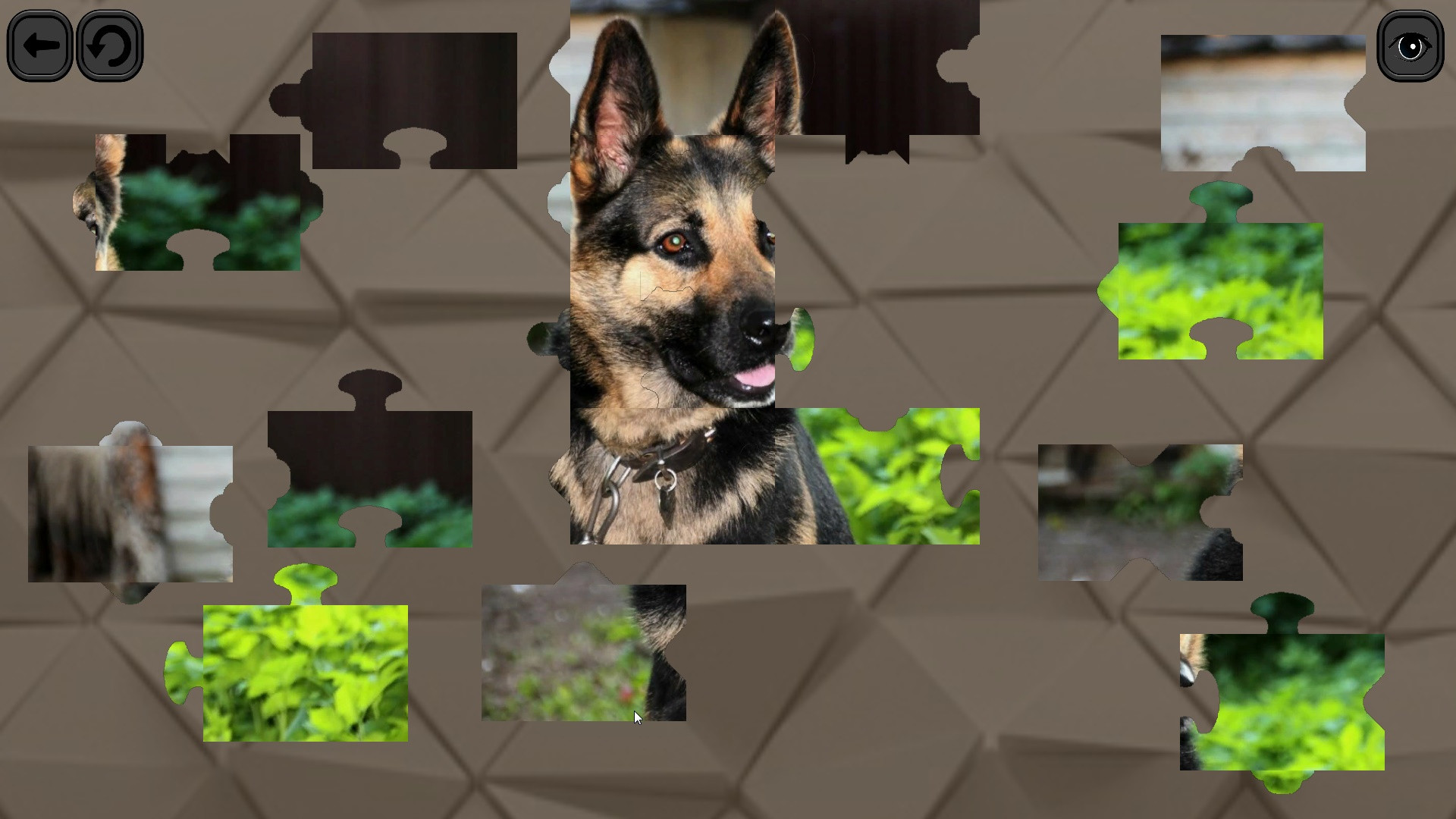 Puzzles for smart: Dogs - кадр 5