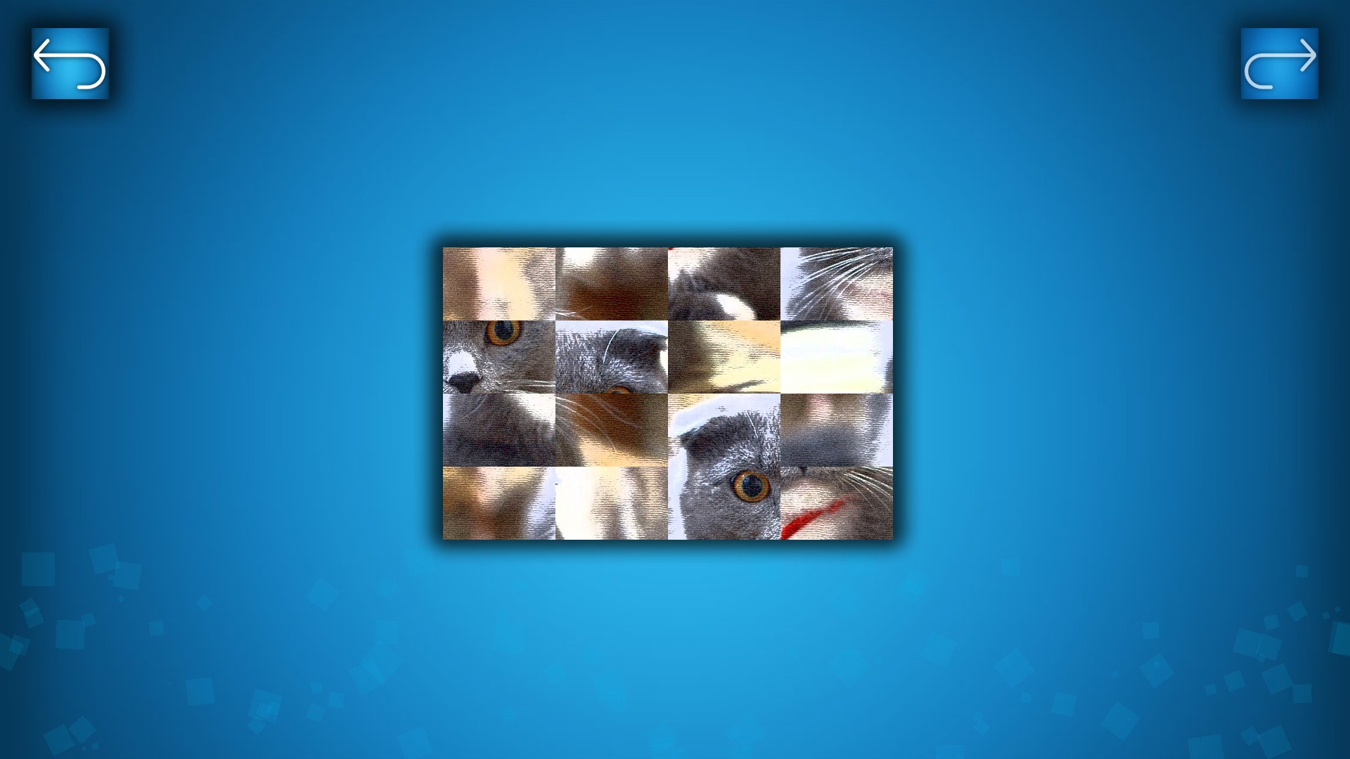 PUZZLE: CATS & DOGS - кадр 4