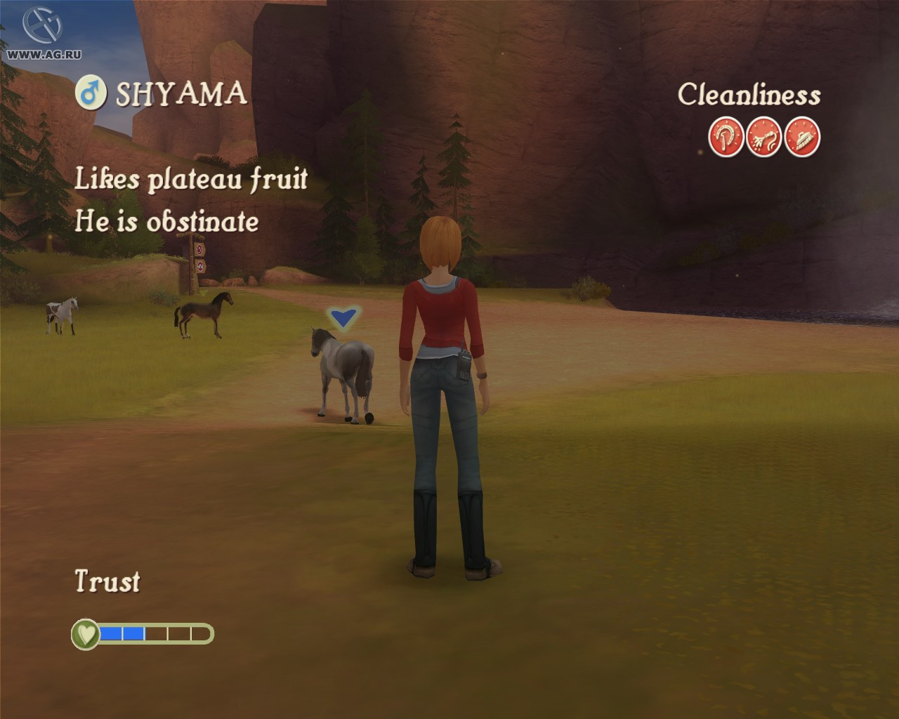 Petz Horse Club - кадр 12
