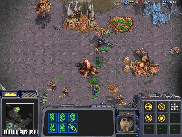StarCraft - кадр 10