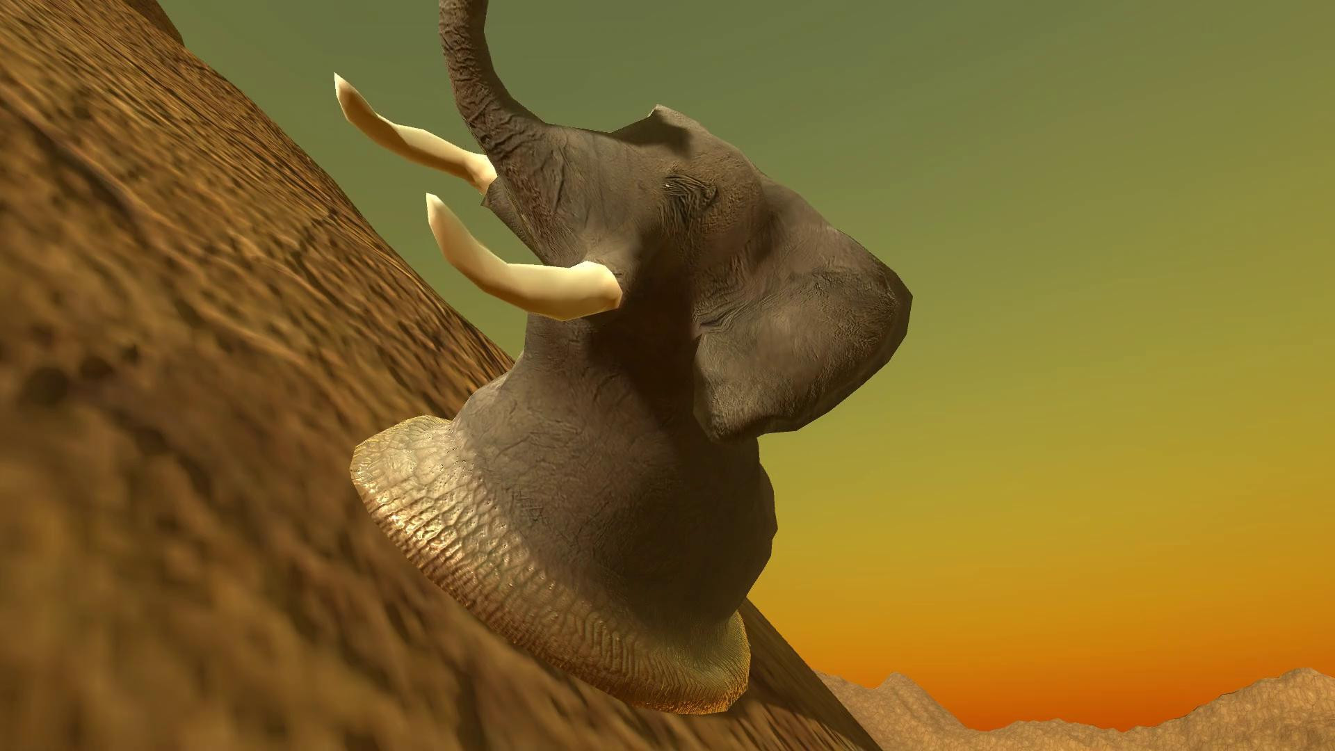 Elephantidae Gastropod Mollusc (itch) - кадр 5