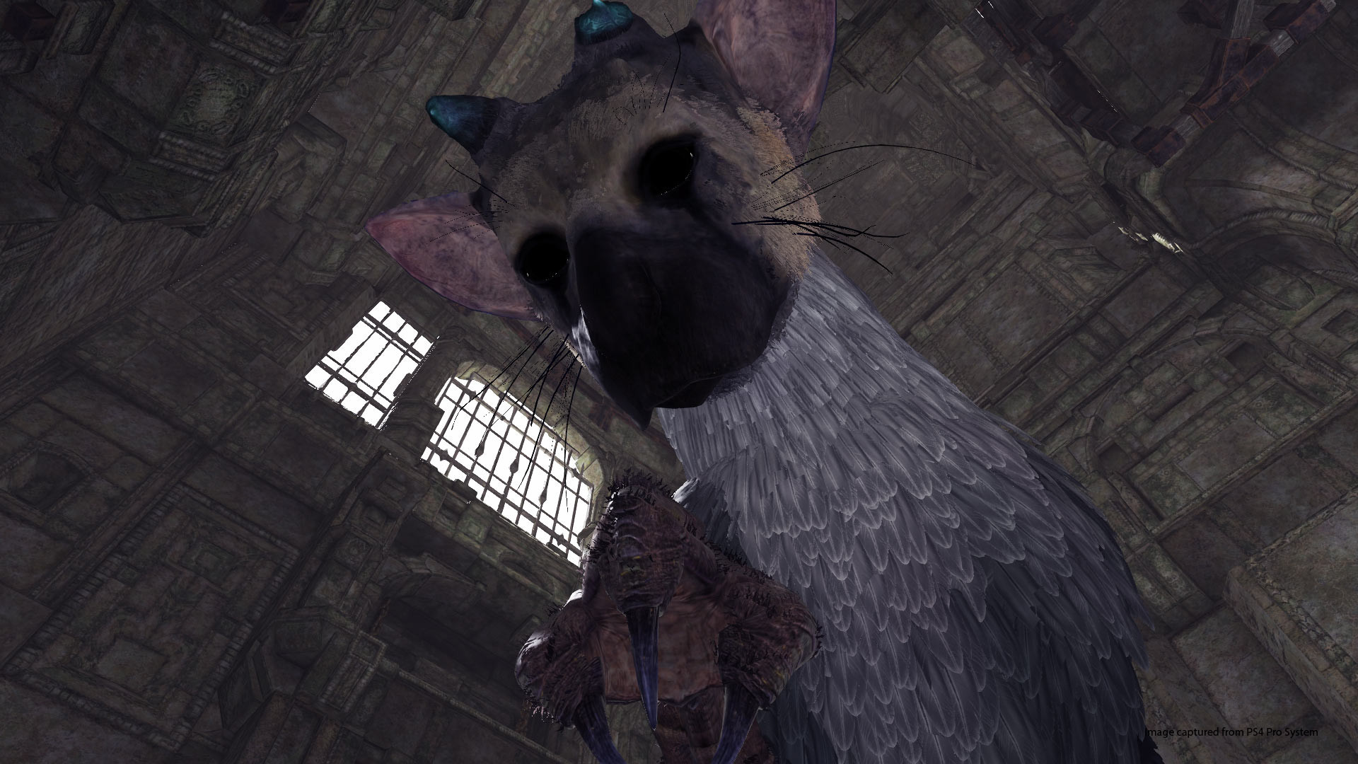 The Last Guardian VR Demo - кадр 9