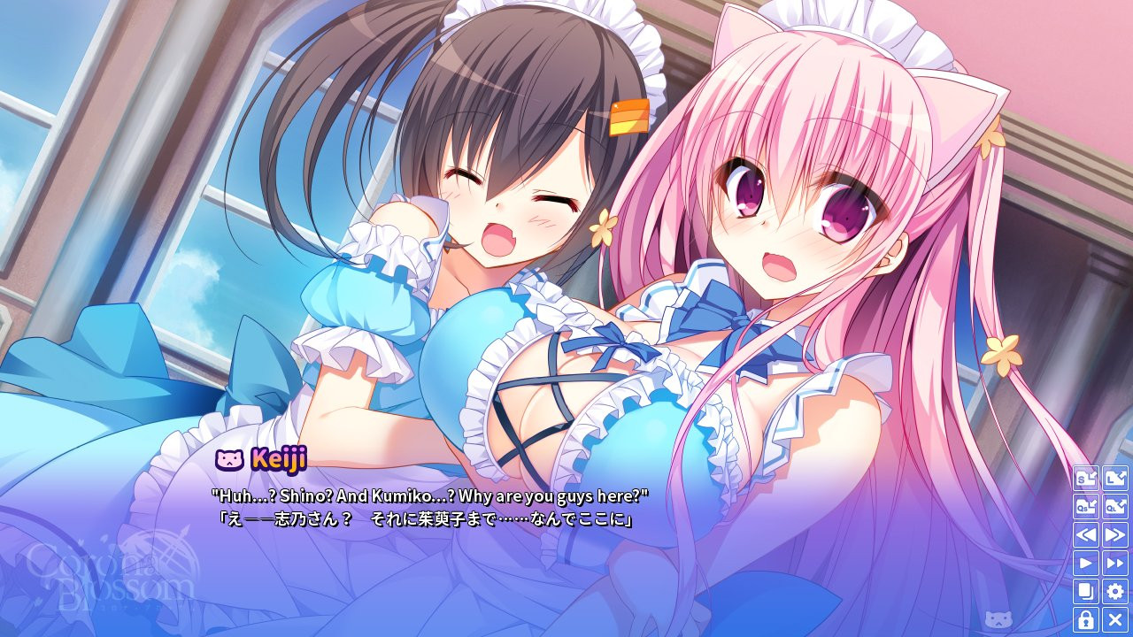 Corona Blossom Vol.2 The Truth From Beyond - кадр 4