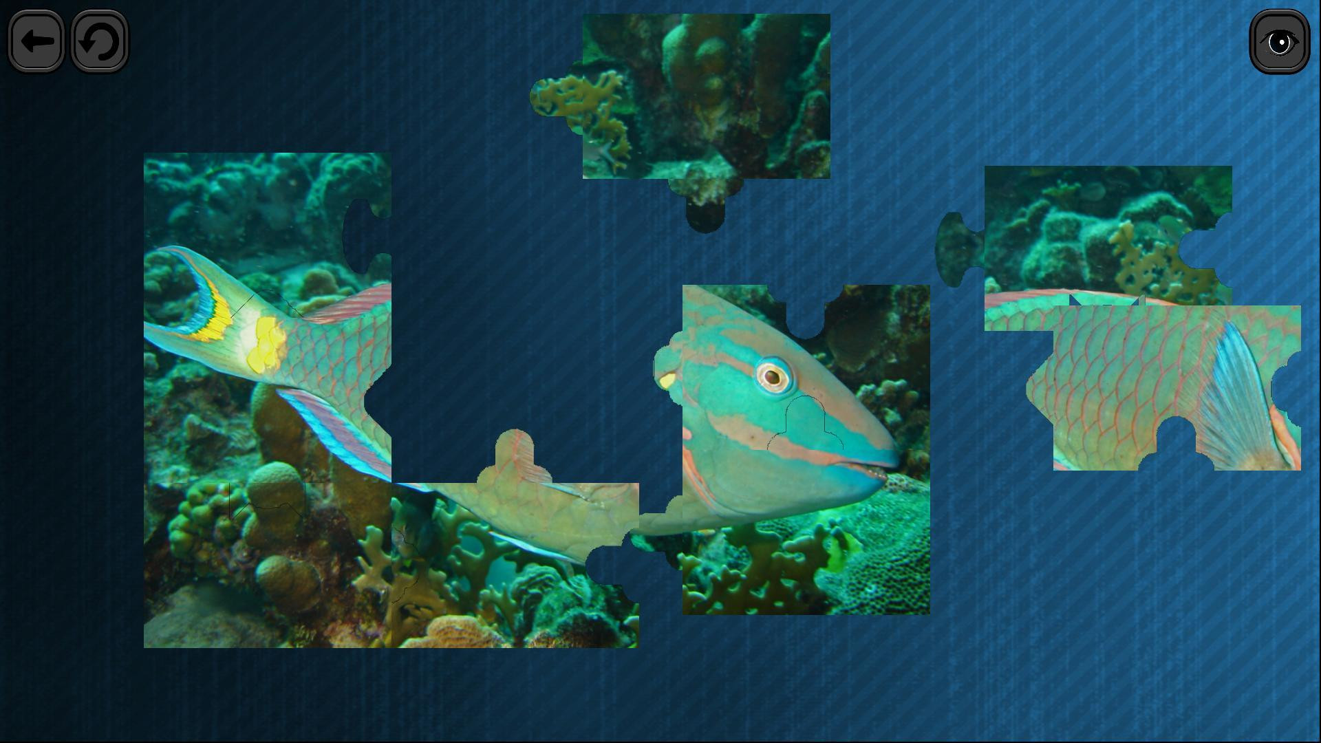 Puzzles for smart: Underwater Kingdom - кадр 5
