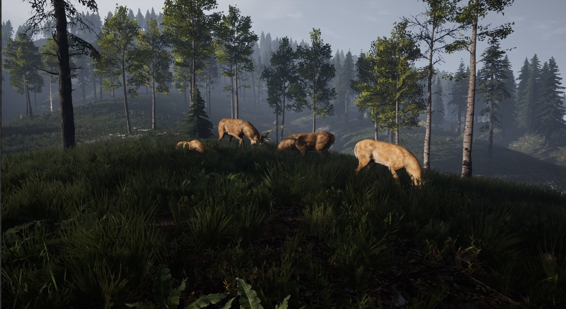 REBORN: Survival - кадр 5