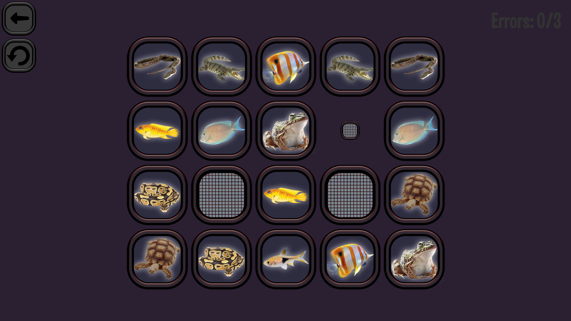 Animals Memory: Underwater Kingdom - кадр 4