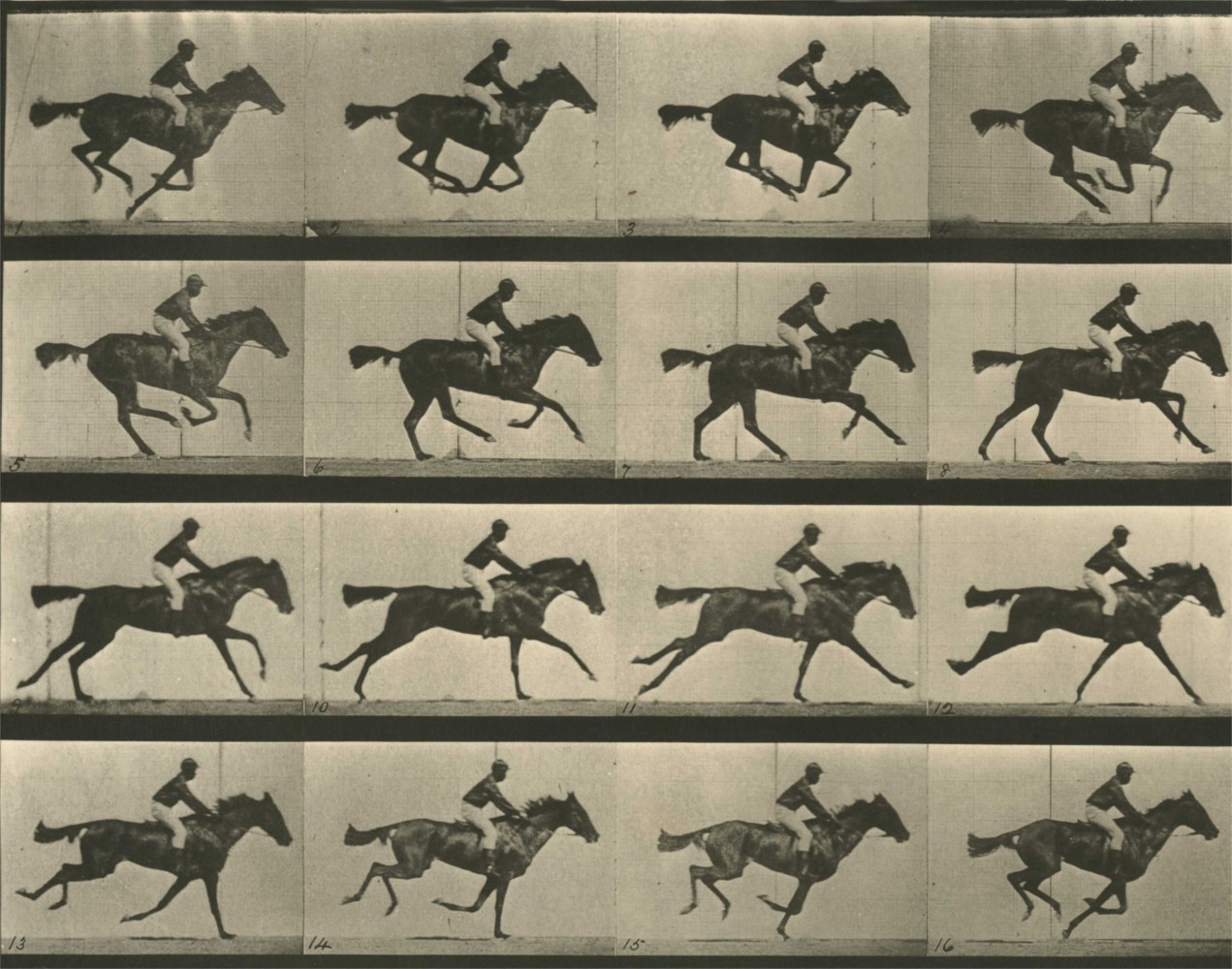Run Muybridge, run! (itch) - кадр 1
