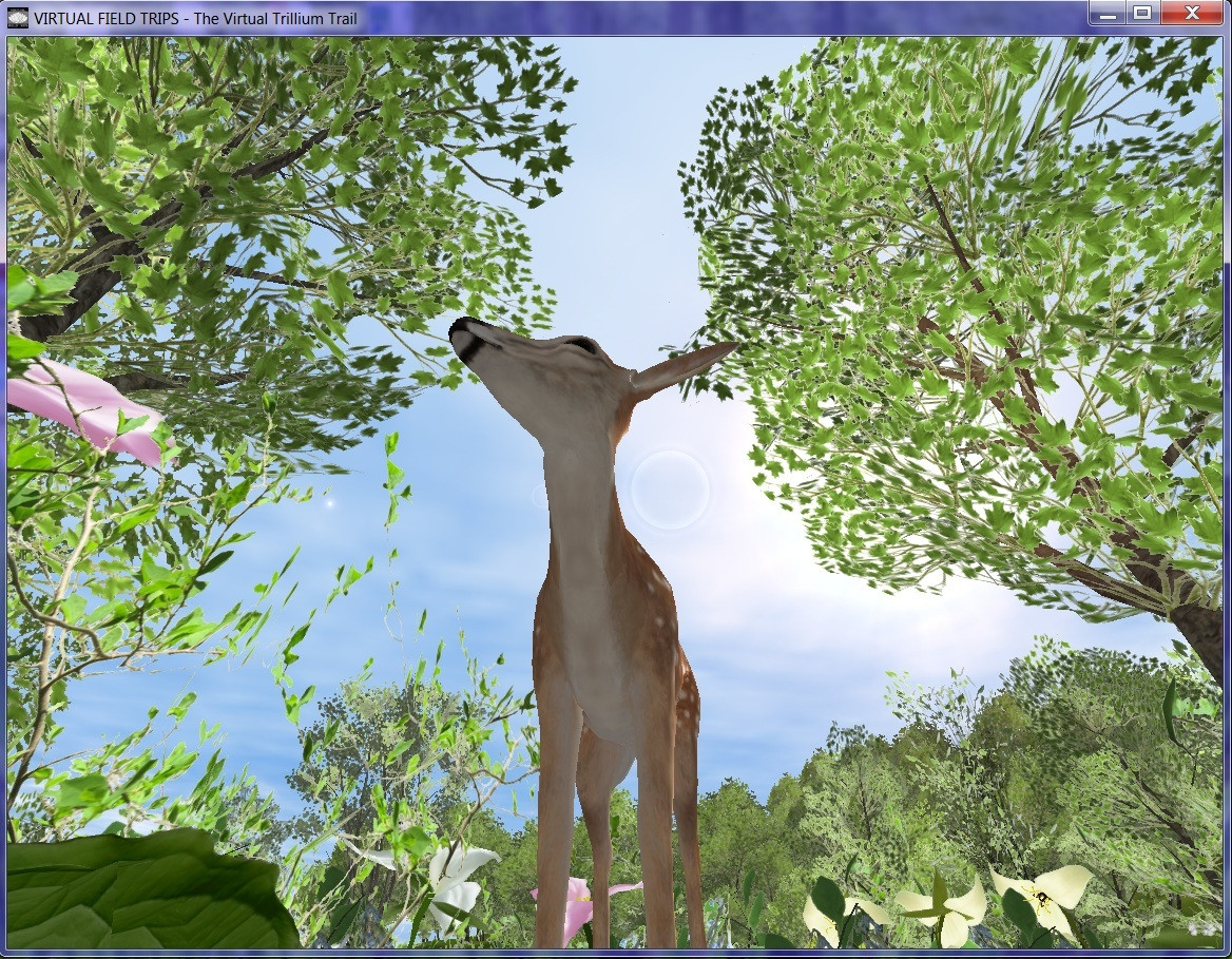 The Virtual Trillium Trail v. 2.0.4 (itch) - кадр 8