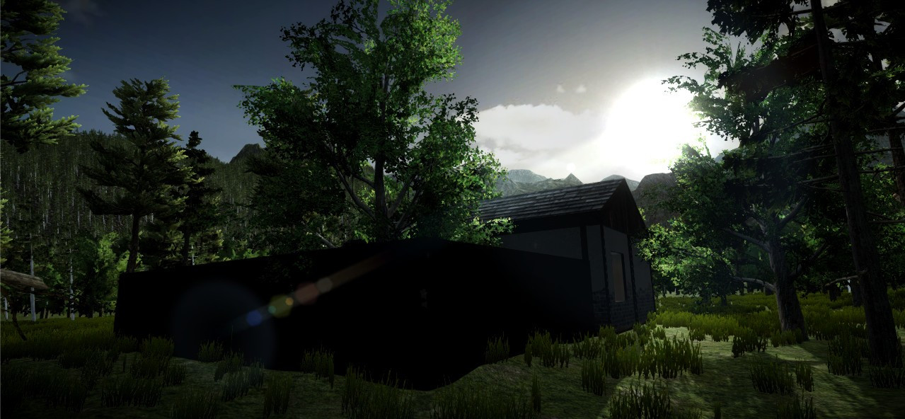 The Secrets of The Forest - кадр 14