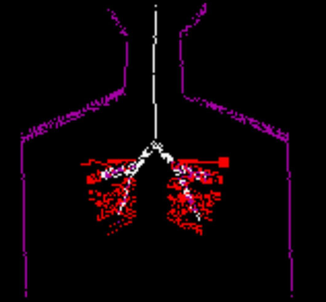 For Today, I Breathe Again (itch) - кадр 1