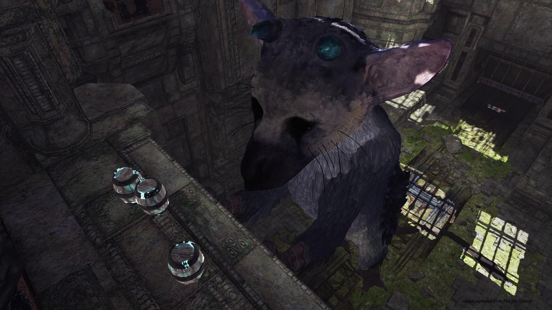 The Last Guardian VR Demo - кадр 10