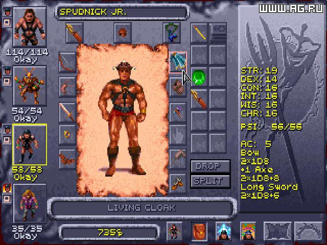 Dark Sun: Shattered Lands - кадр 1