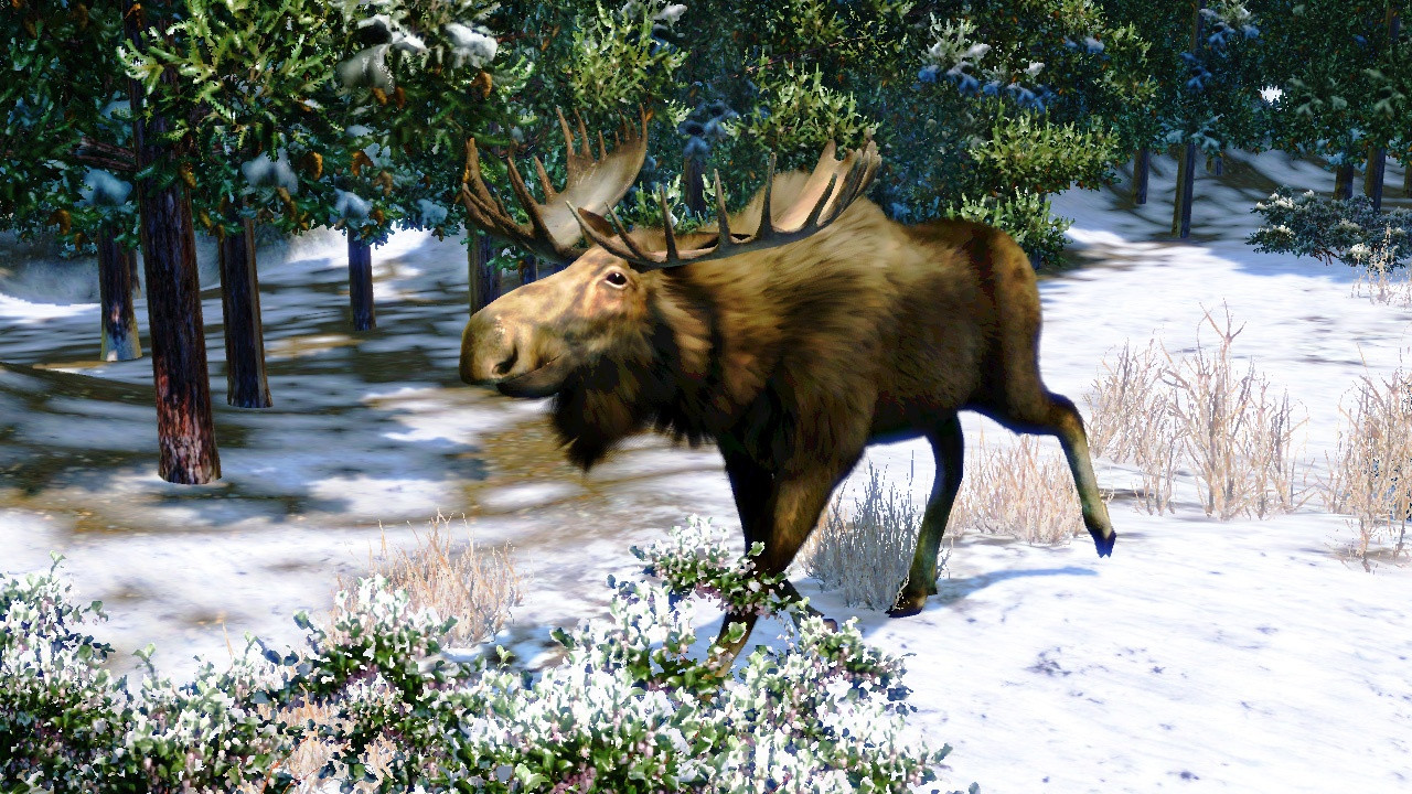 Cabela's North American Adventures - кадр 9