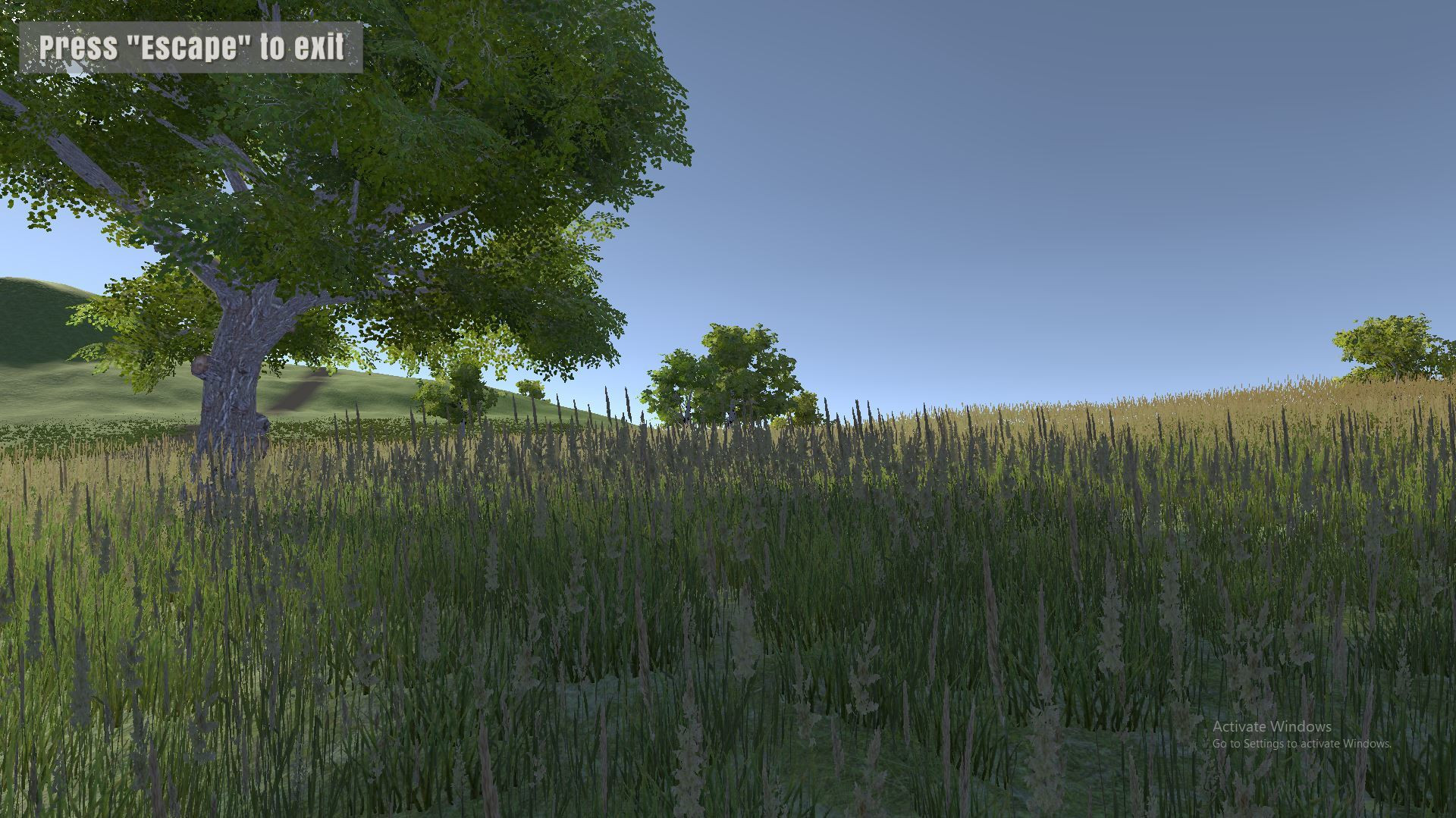 Calm Nature Alpha Build 3 (itch) - кадр 4