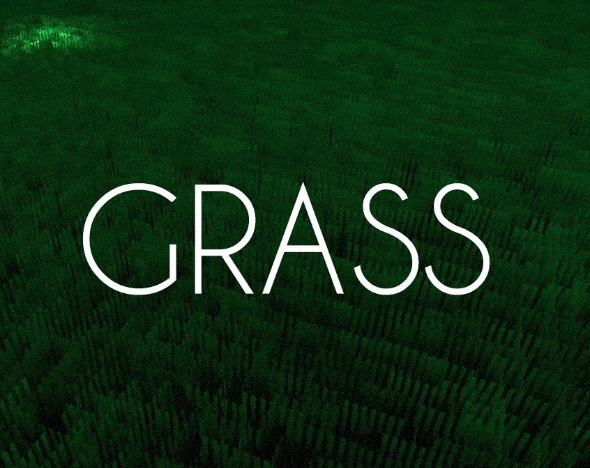 Grass (itch) - кадр 1