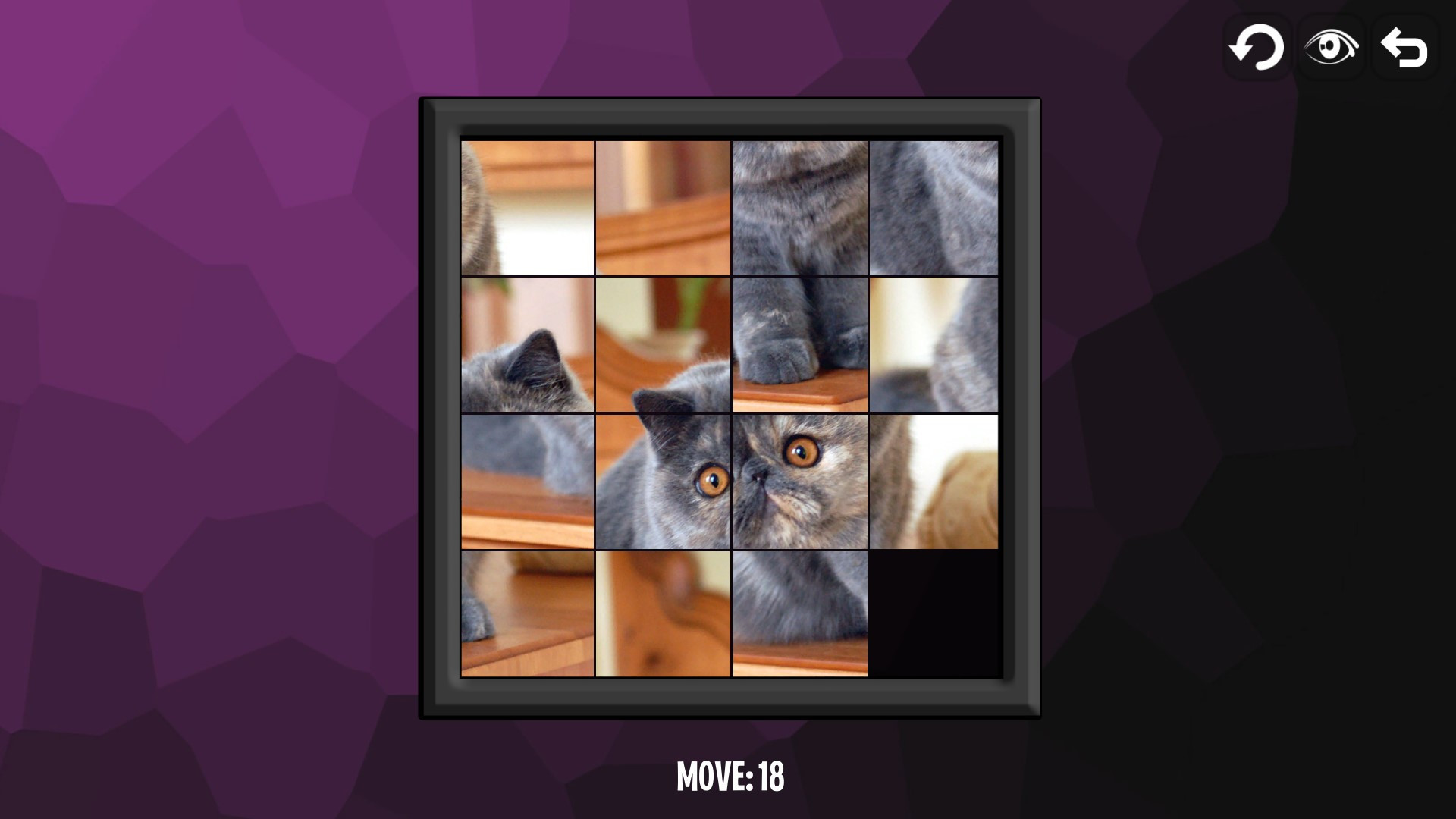 Intelligence: Cats - кадр 6