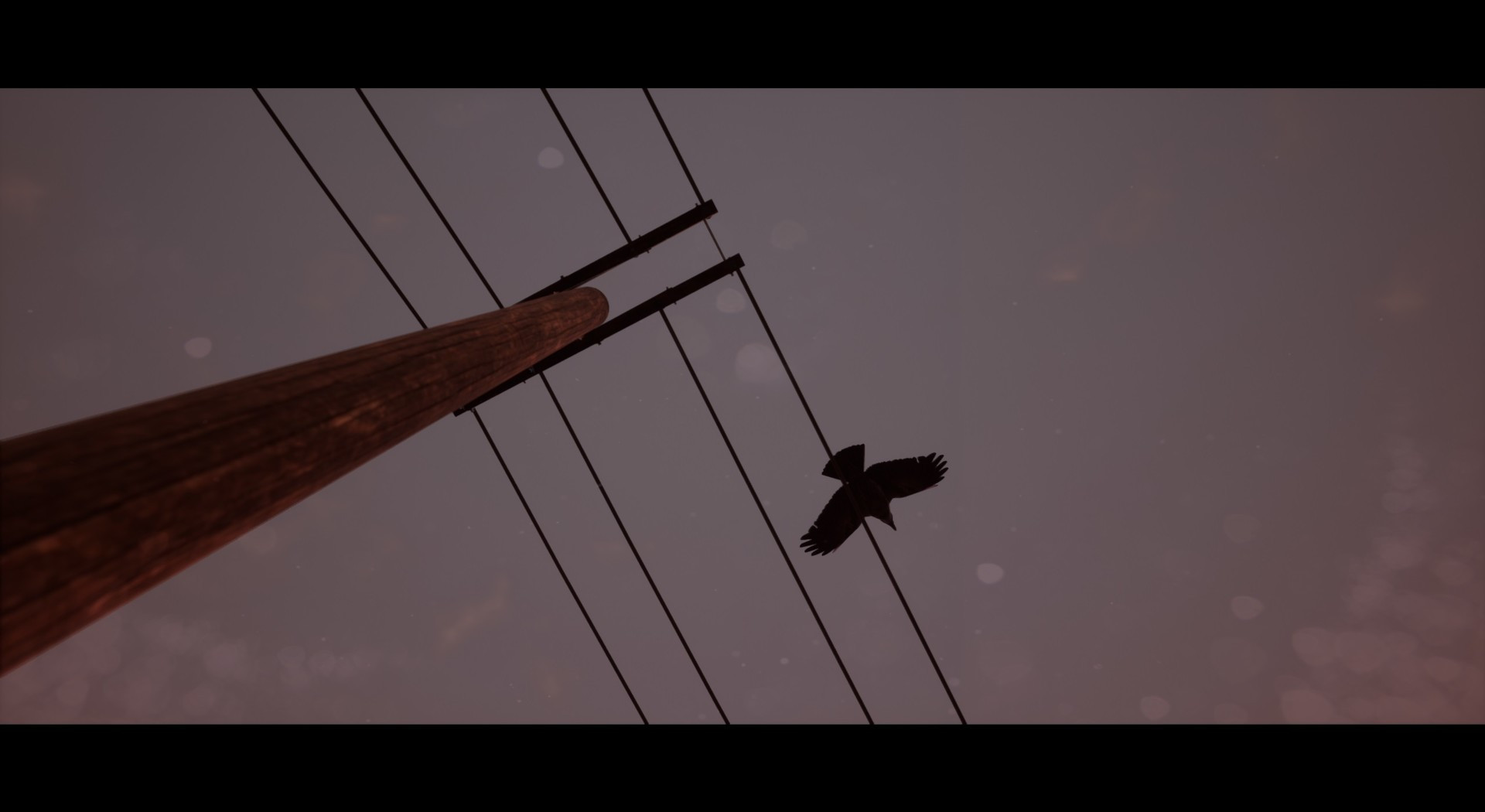 Of Bird and Cage - кадр 4