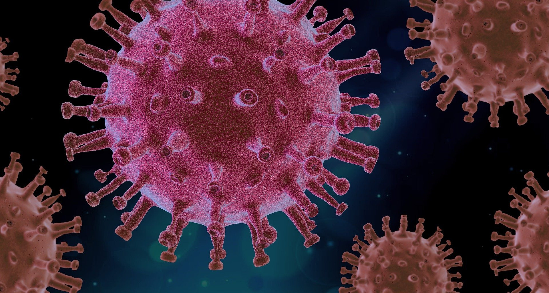 Viral Suppression (itch) - кадр 1
