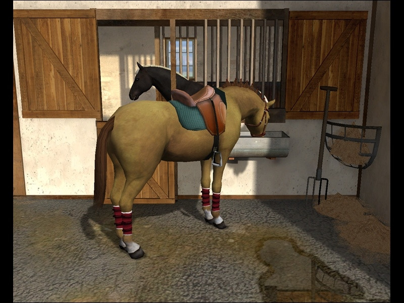 Tim Stockdale's Riding Star - кадр 11