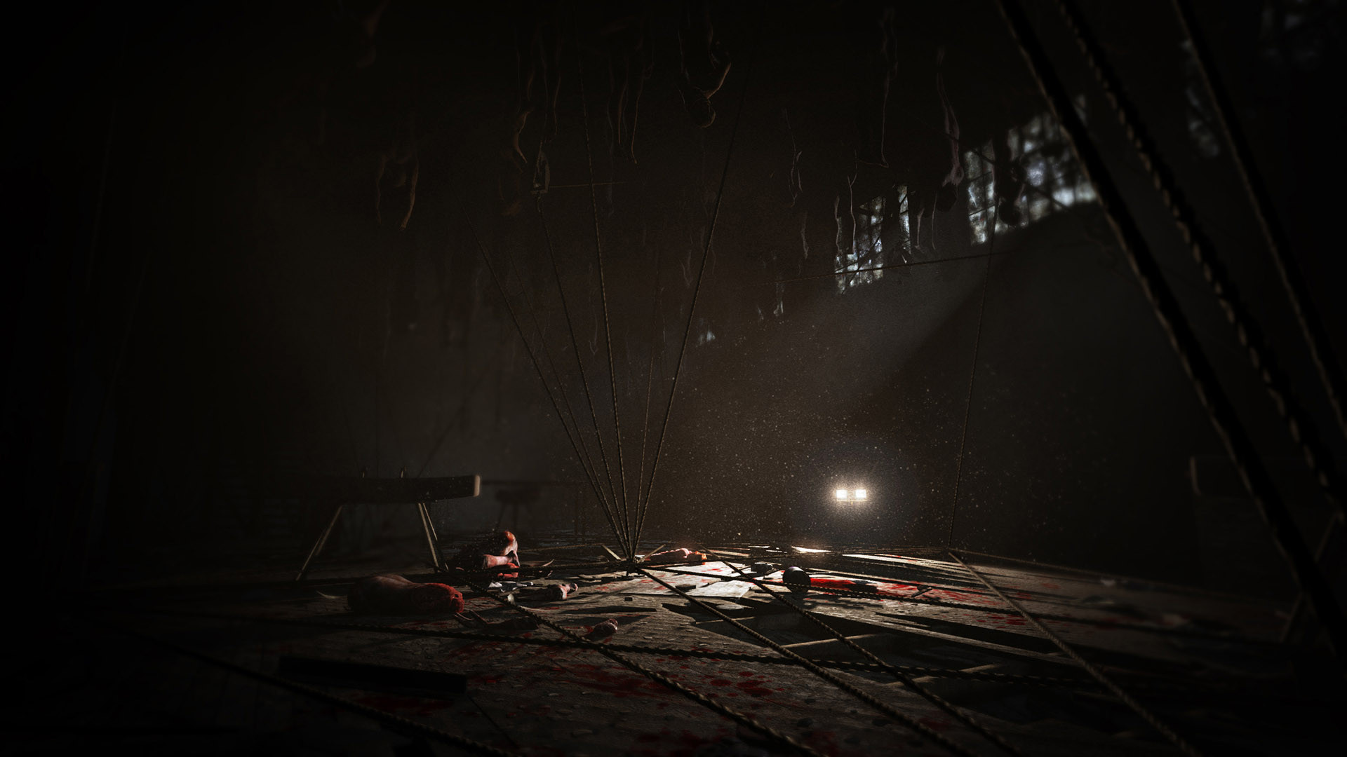 Outlast: Whistleblower - кадр 9