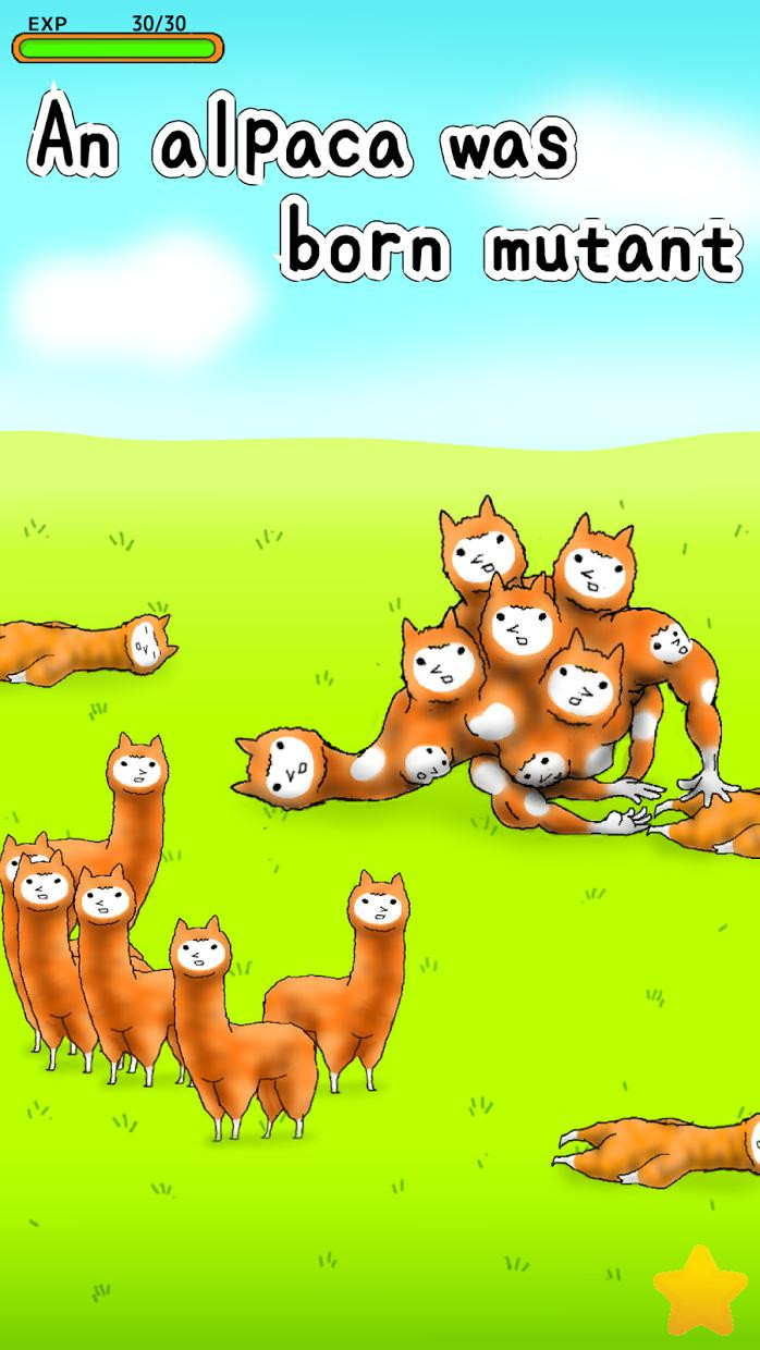Alpaca Evolution - кадр 7