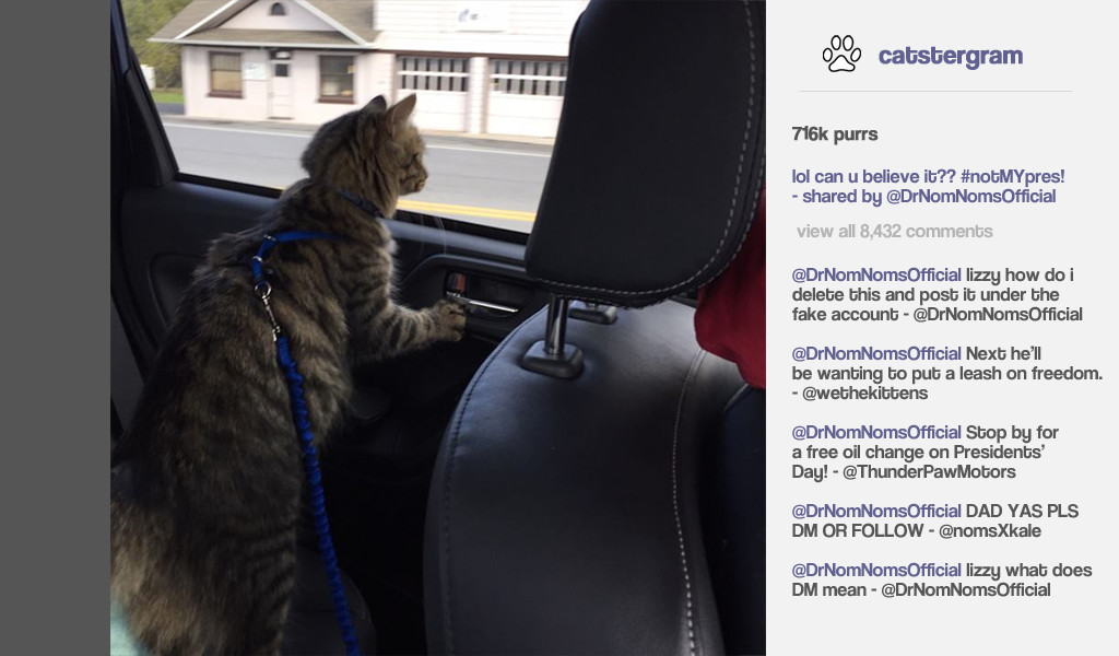 Cat President ~A More Purrfect Union~ - кадр 14