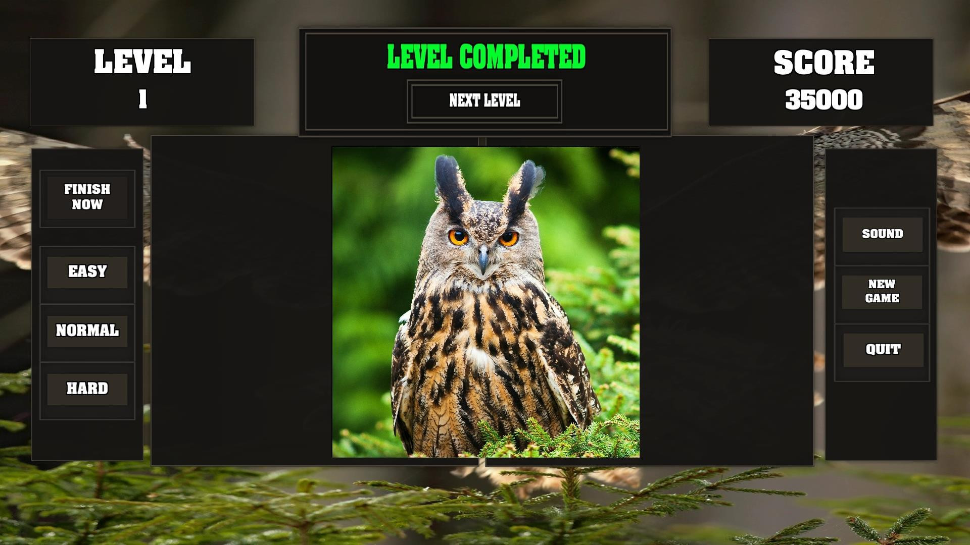 Fitzzle Wise Owls - кадр 5
