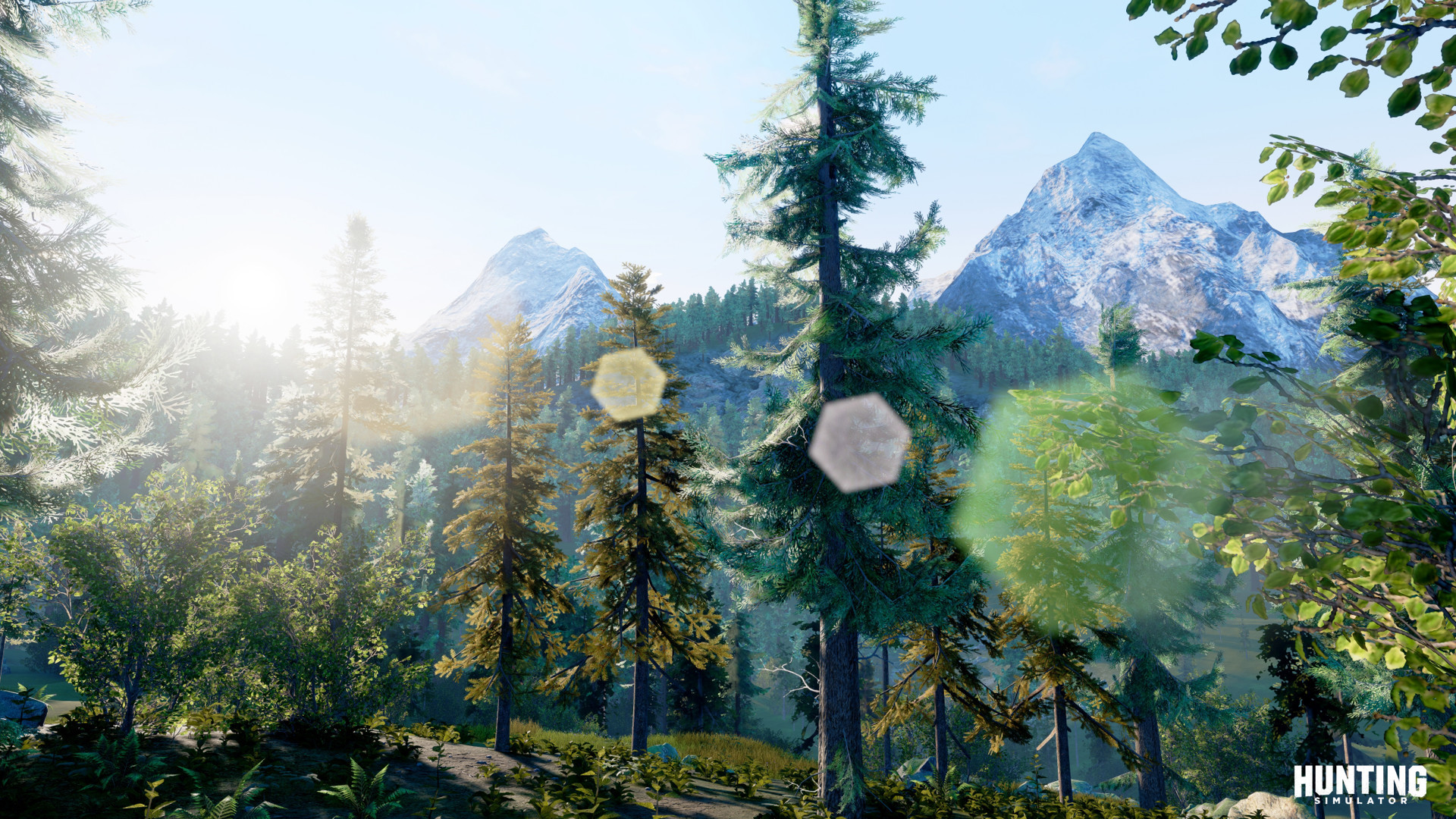 Hunting Simulator - кадр 3