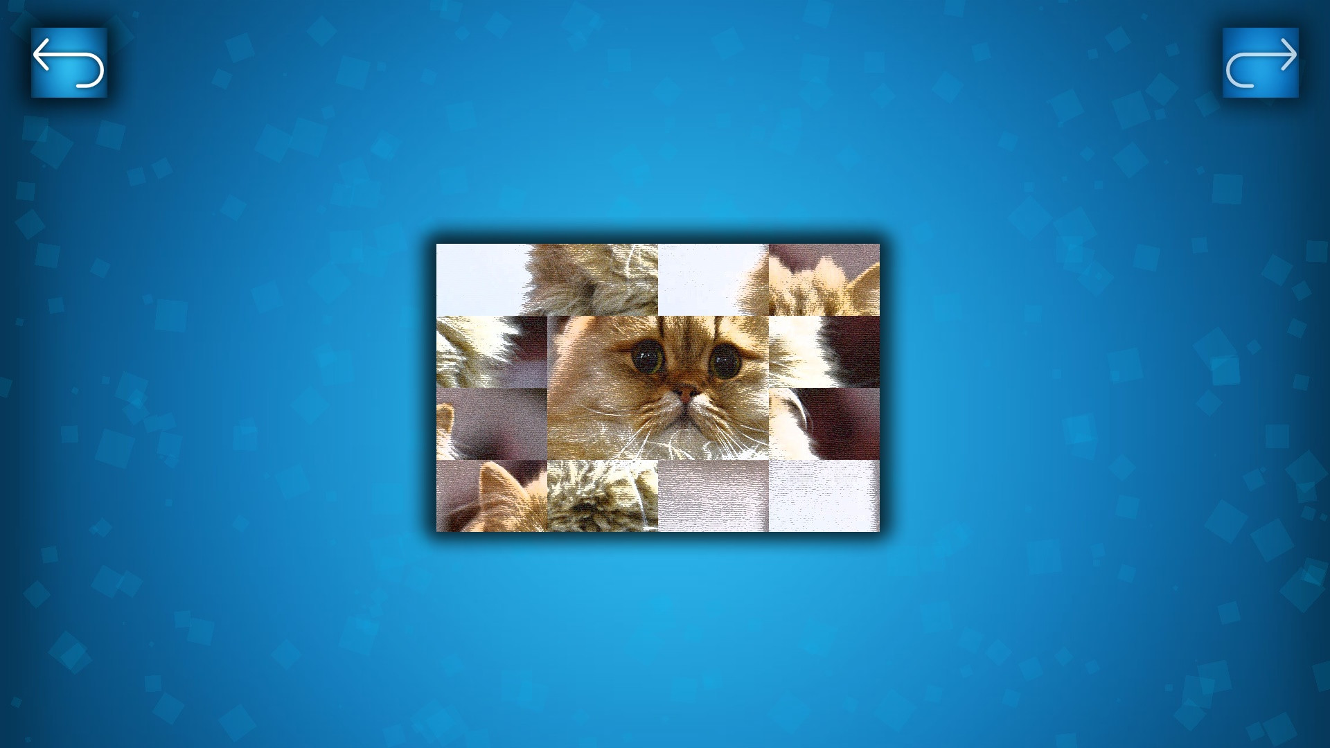 PUZZLE: CATS & DOGS - кадр 5