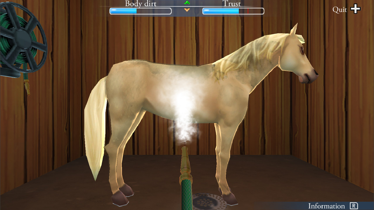 My Riding Stables - Life with Horses - кадр 5