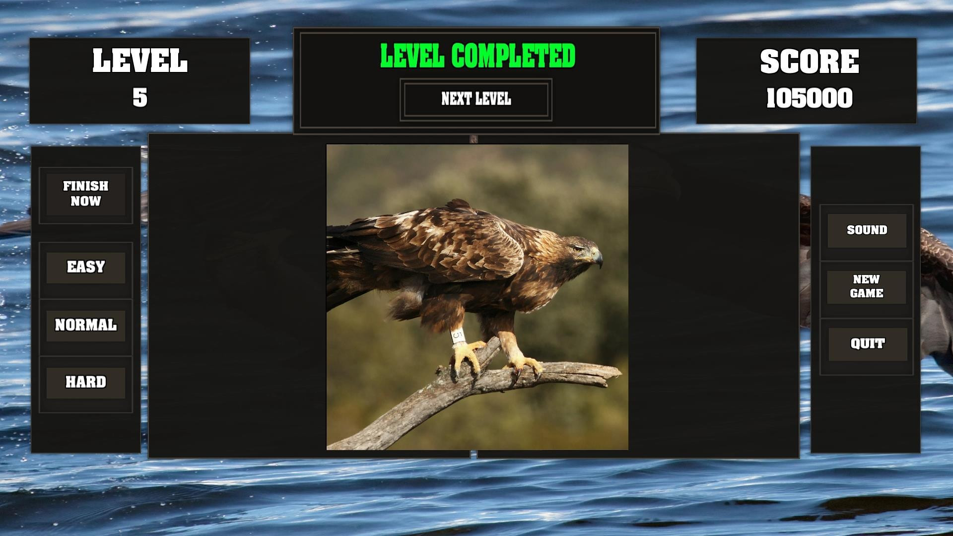 Fitzzle Majestic Eagles - кадр 5