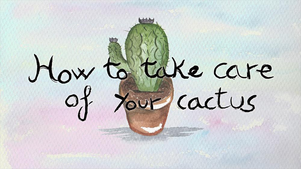 How to take care of your cactus (itch) - кадр 3