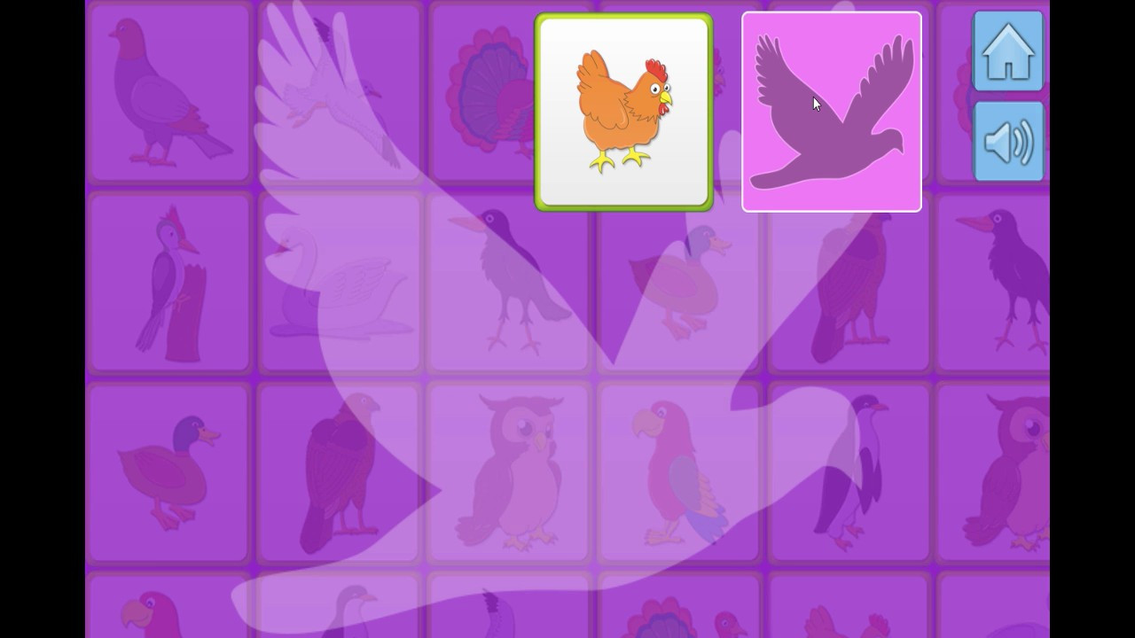 Bird Memory - кадр 6