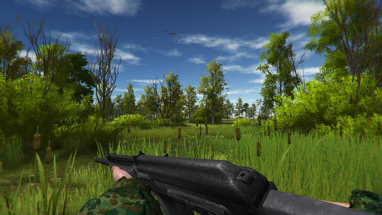 Duck Hunting - кадр 9