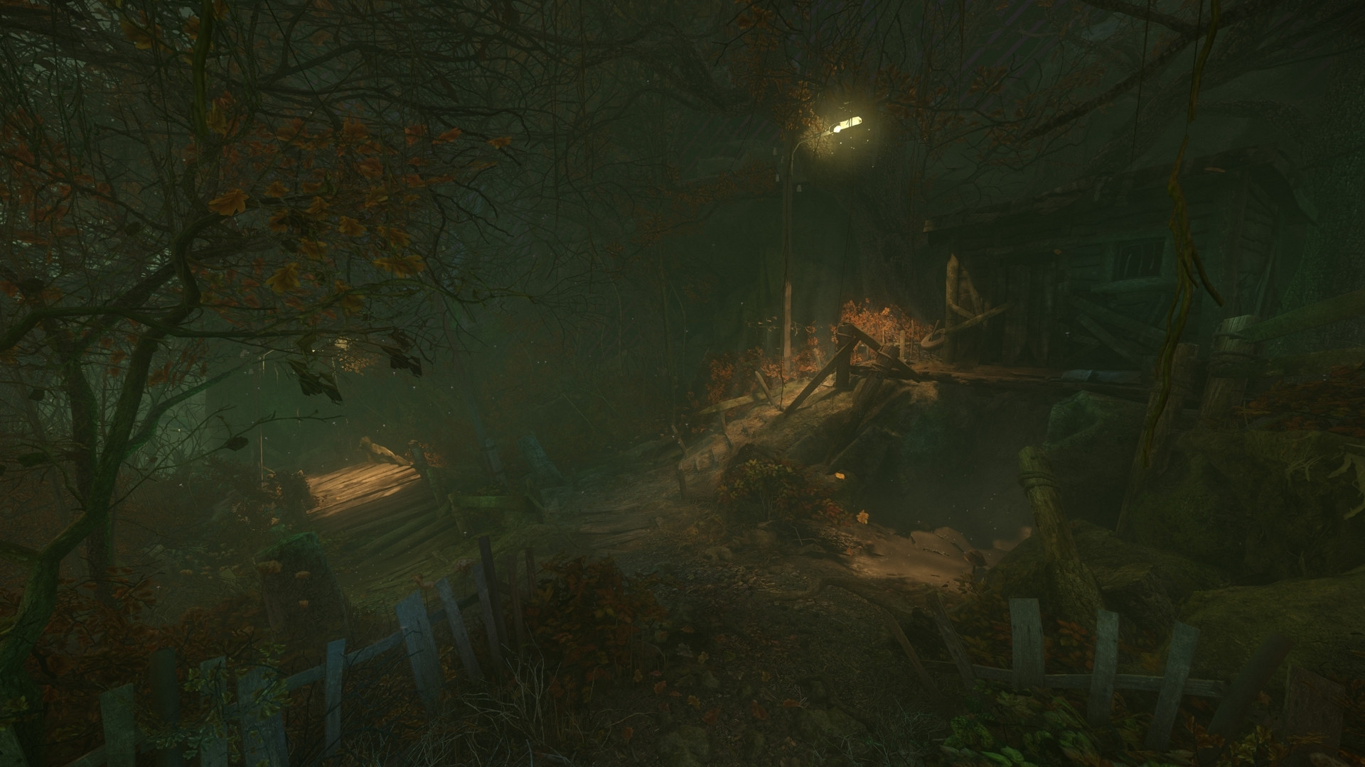 The Cursed Forest (itch) - кадр 7
