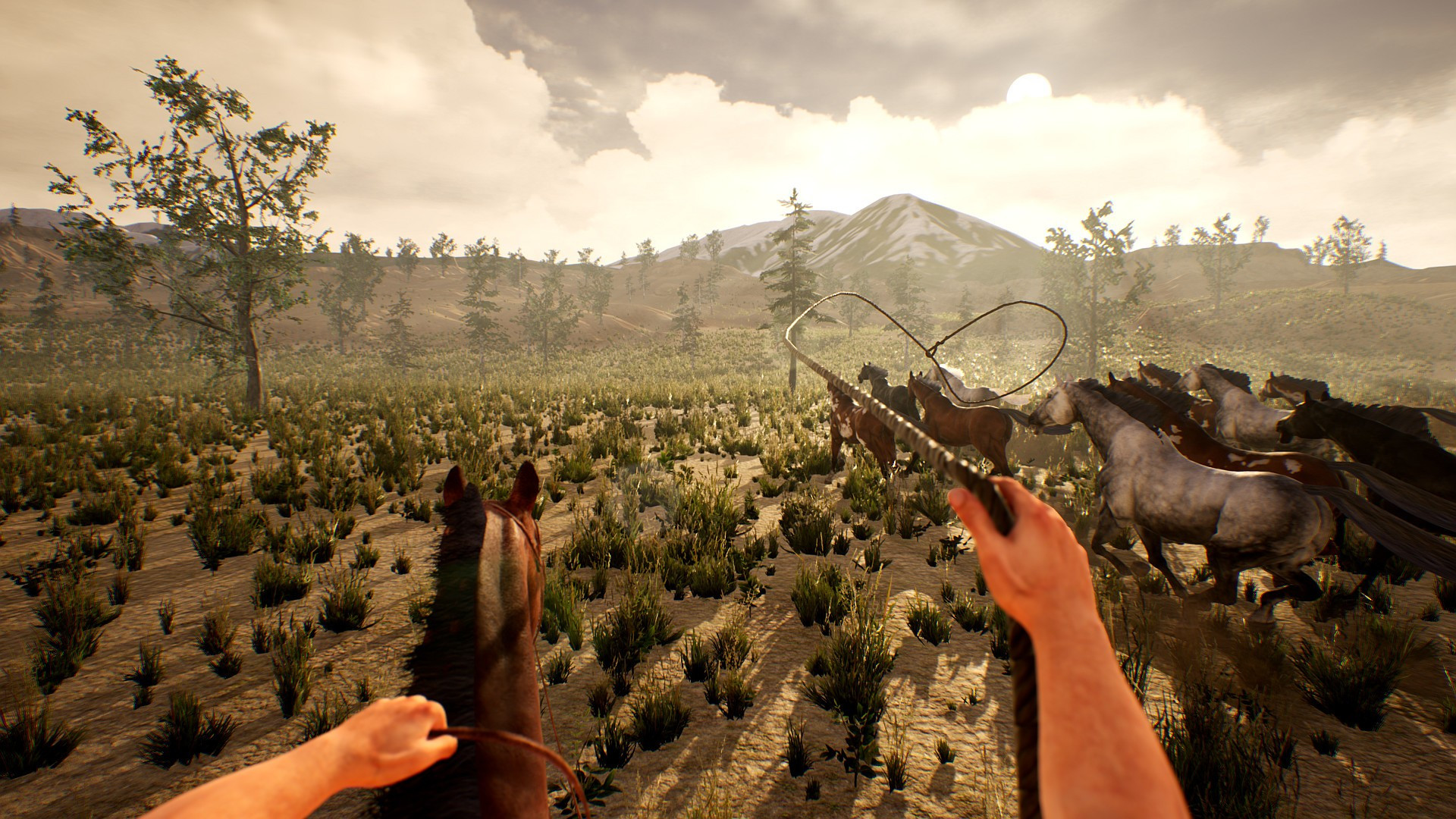 Cowboy Life Simulator - кадр 7