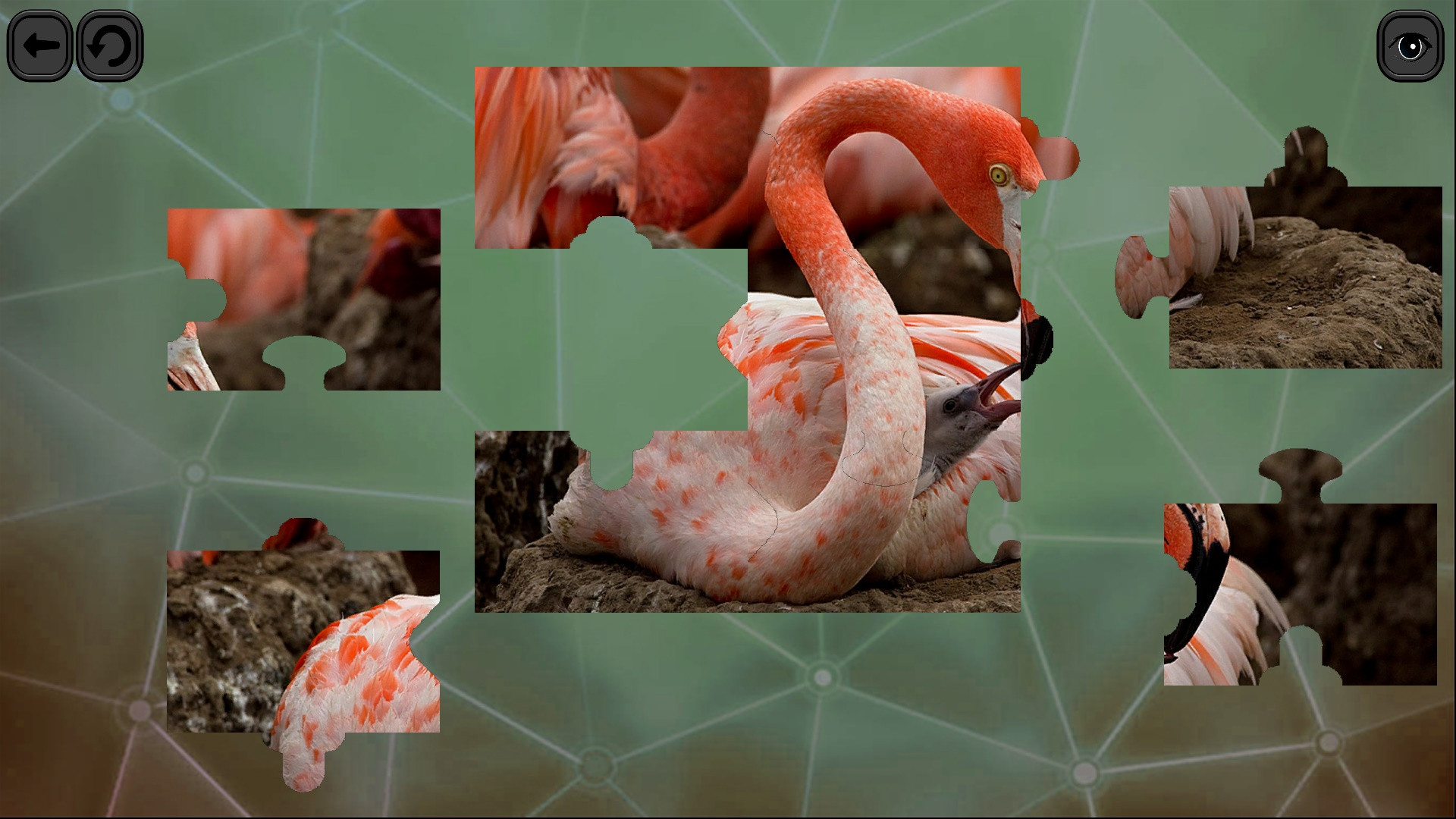 Puzzles for smart: Birds - кадр 7