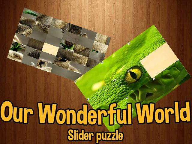Our Wonderful World (itch) - кадр 6