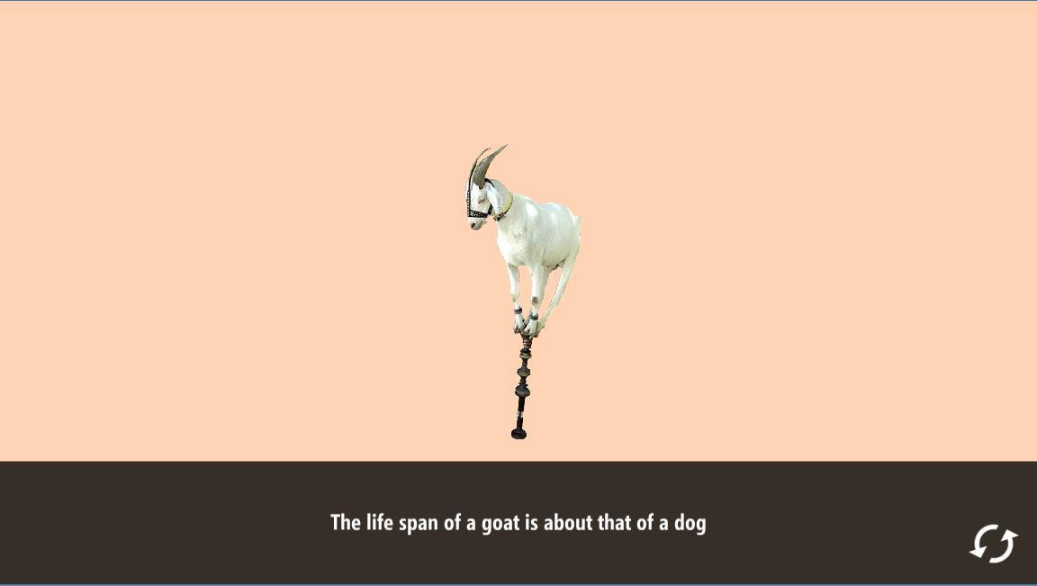 The Goat Game (itch) - кадр 2