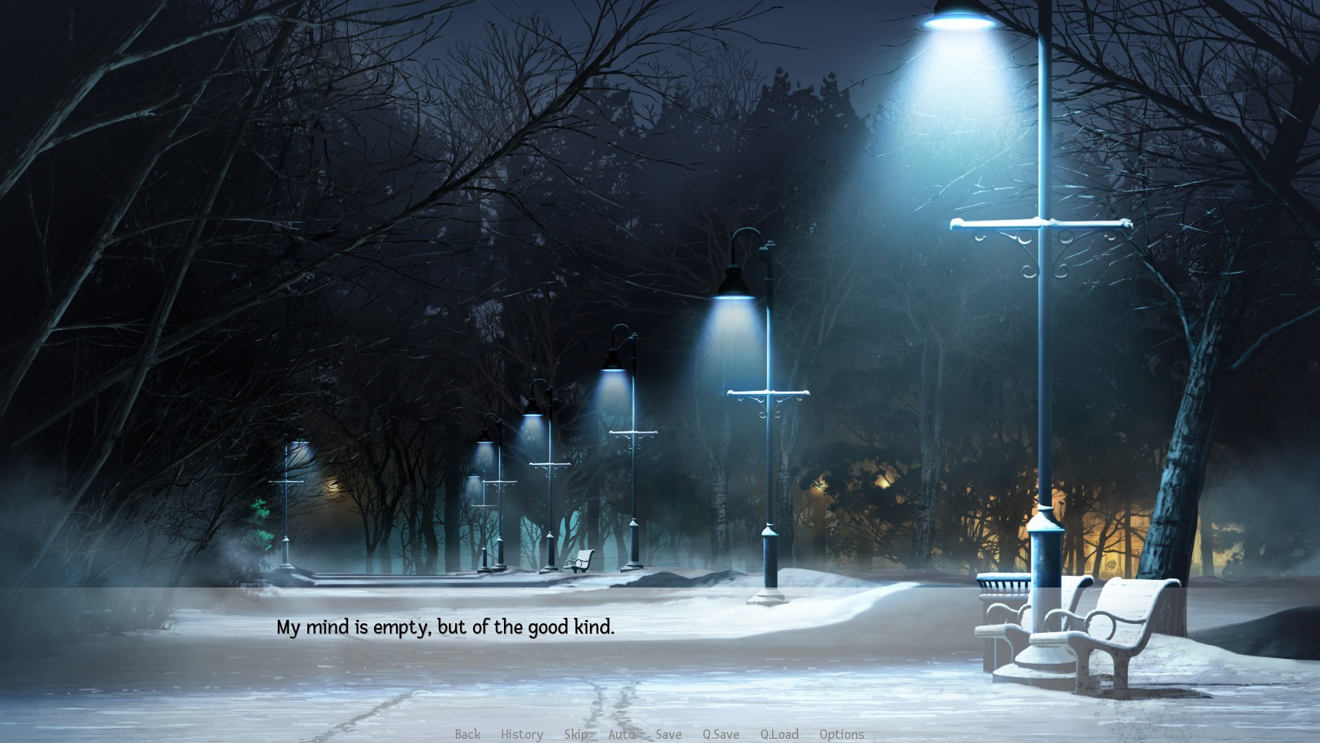 Winter's Symphonies - кадр 9