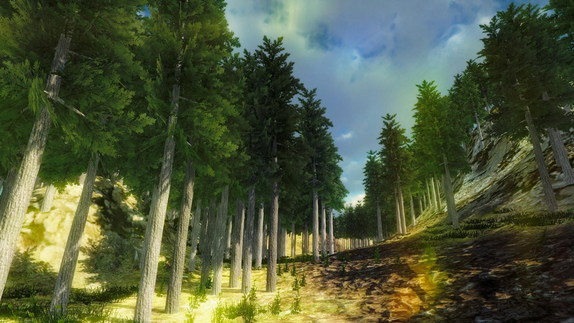 Nature Walk Simulator (itch) - кадр 9