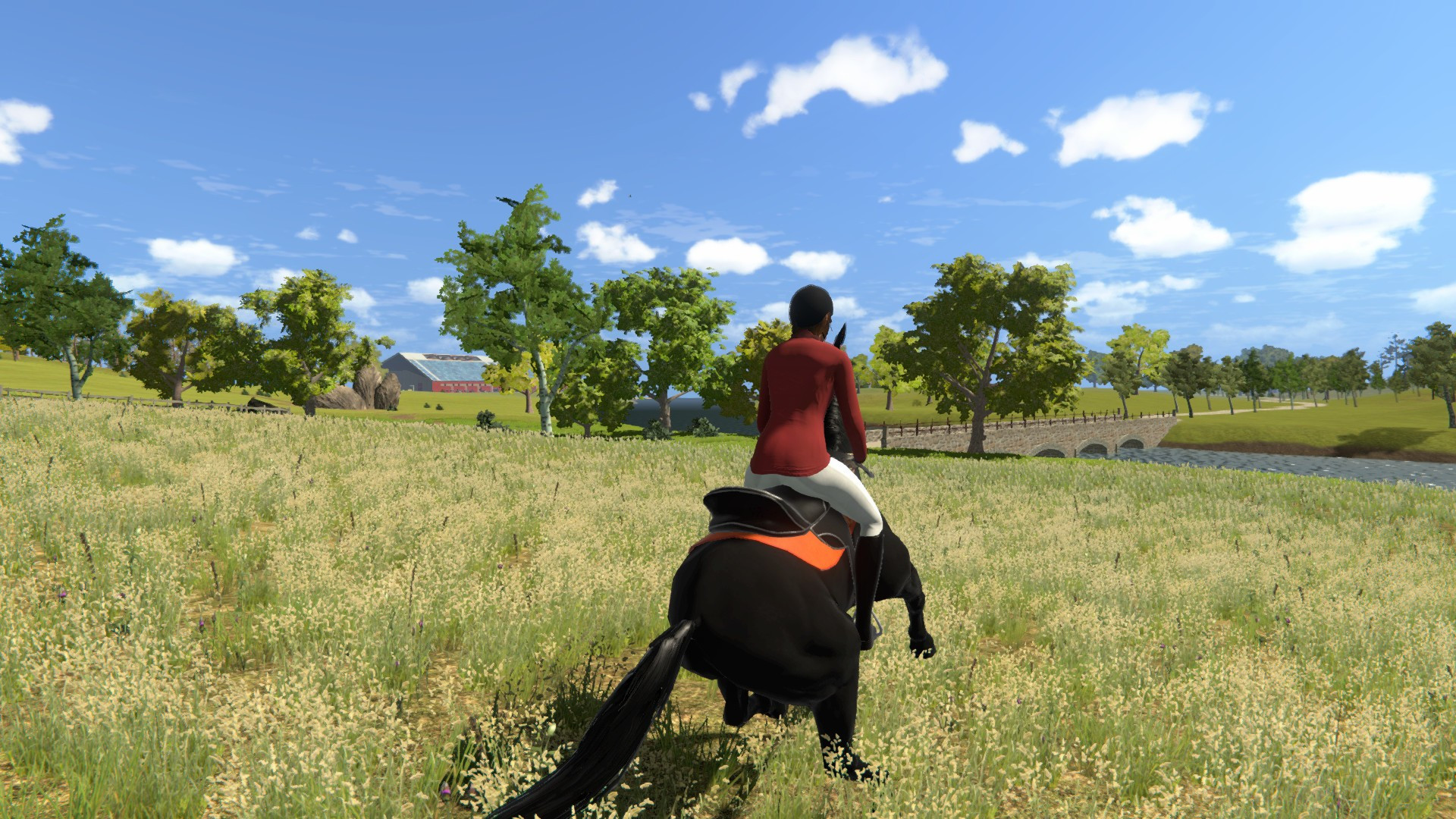 My Little Riding Champion - кадр 5