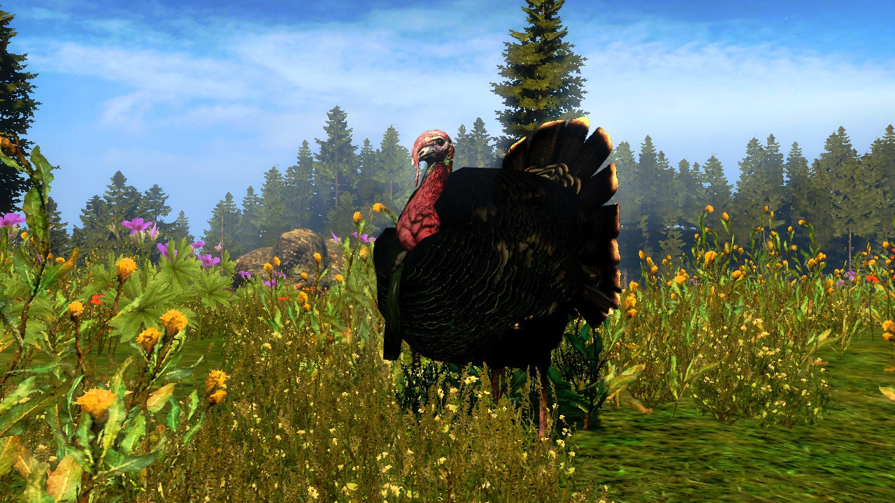 Cabela's Outdoor Adventures - кадр 8