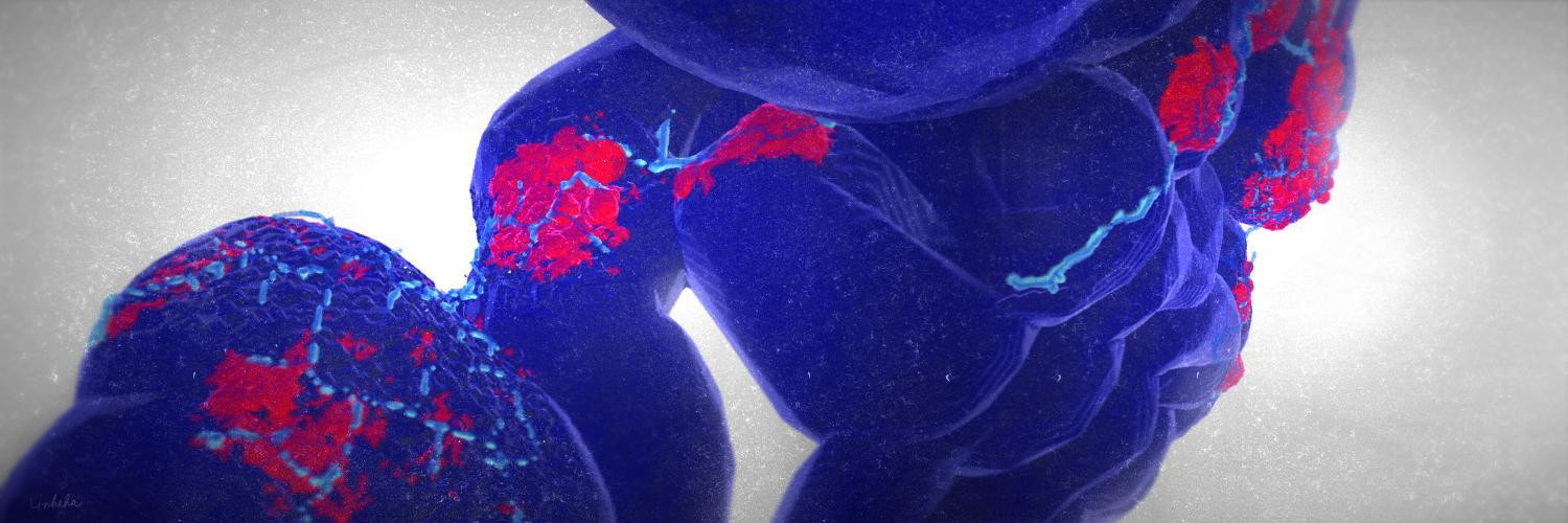 Apoptosis (itch) - кадр 3