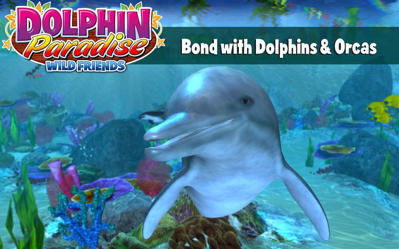 Dolphin Paradise - кадр 10