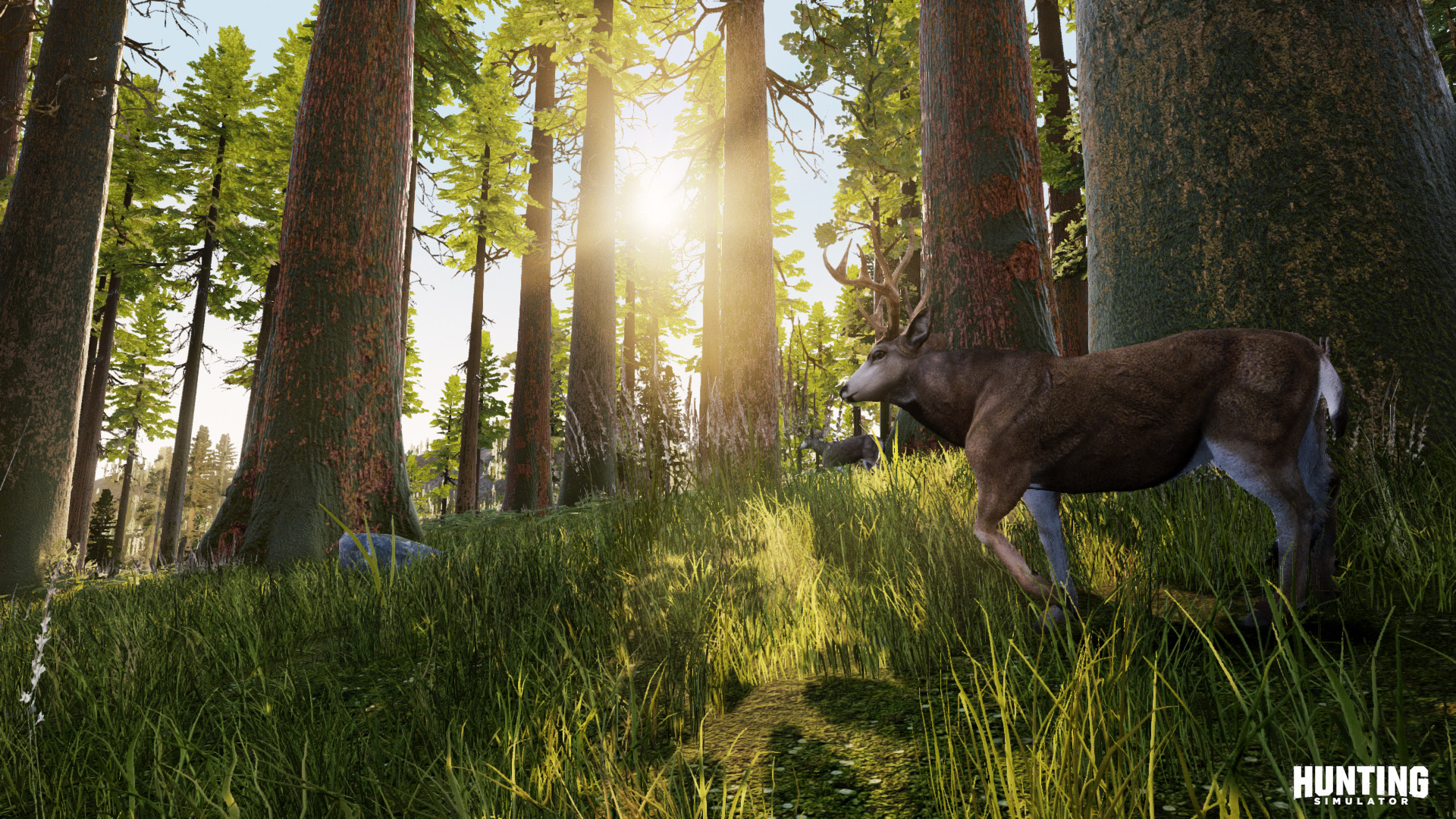 Hunting Simulator - кадр 4