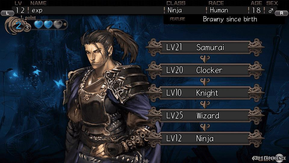 STRANGER OF SWORD CITY REVISITED - кадр 5