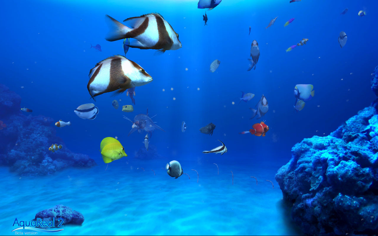 DigiFish Aqua Real 2 - кадр 8
