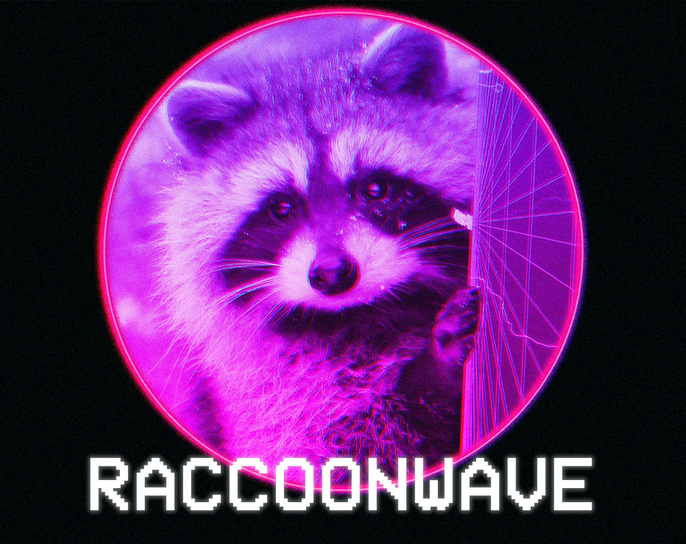 Raccoonwave (itch) - кадр 3