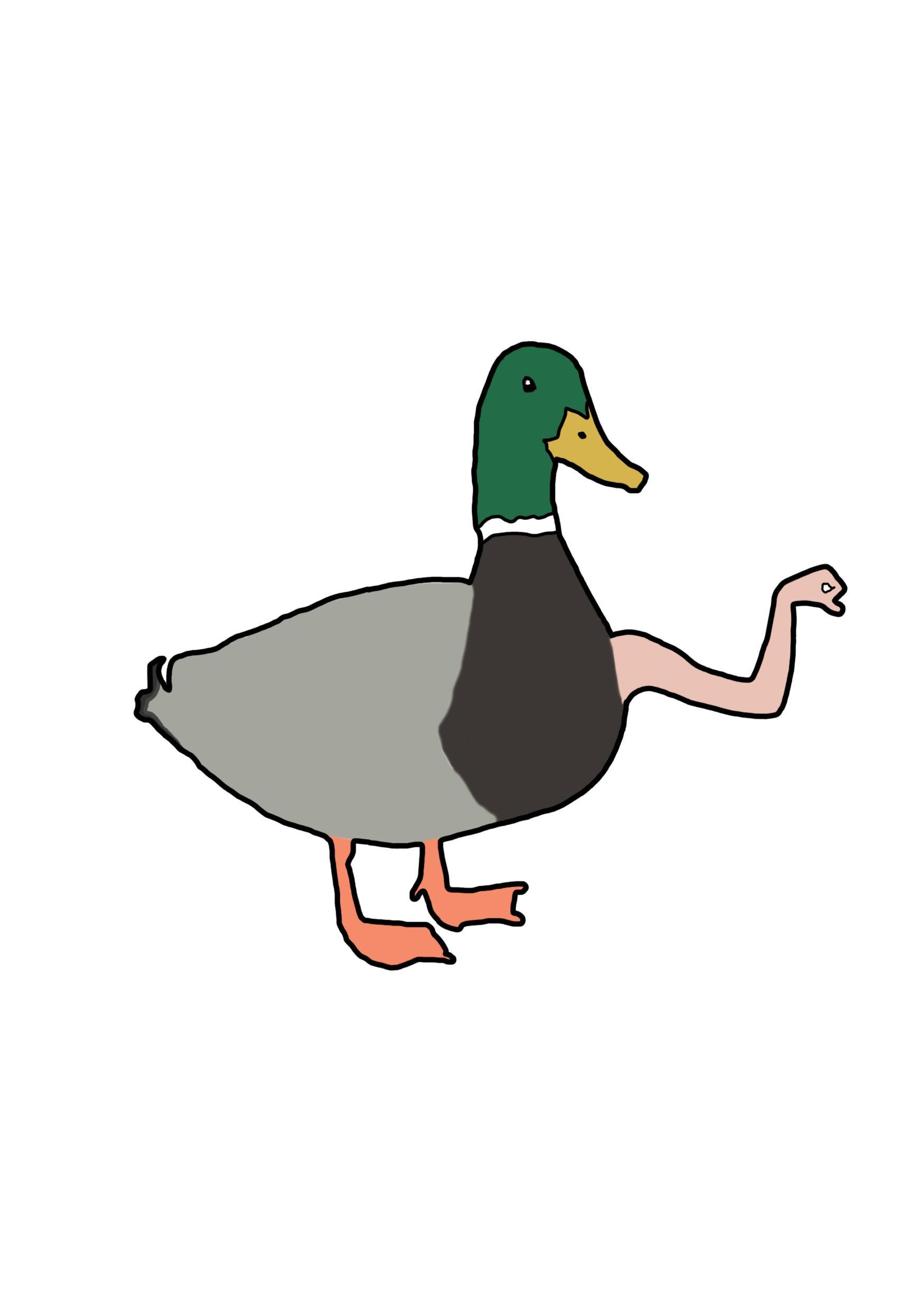 Group6 - Quack quack panic attack! (itch) - кадр 1